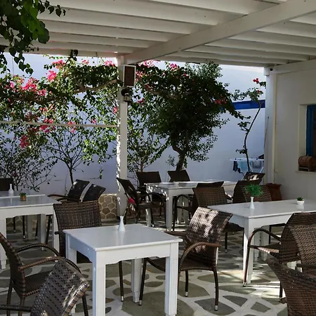 招待所 Theologos Place 3*