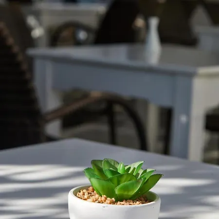 招待所 Theologos Place 安迪帕罗斯岛