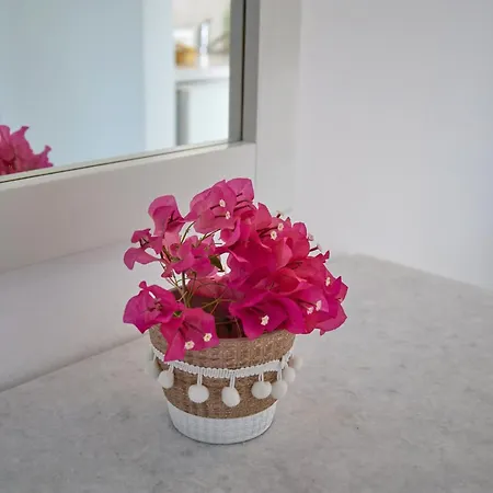 Theologos Place 安迪帕罗斯岛