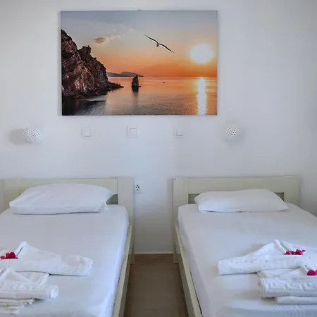 招待所 Theologos Place